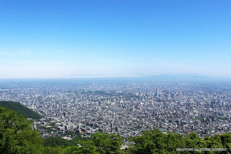 山頂展望台からの景色