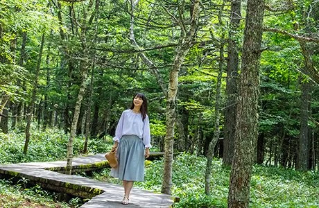 森林散策にぴったり