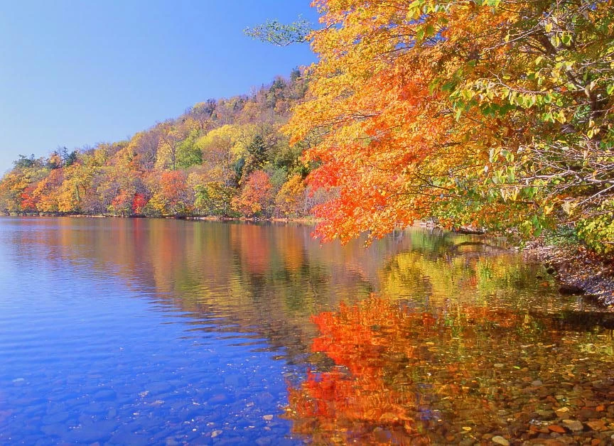 紅葉の屈斜路湖