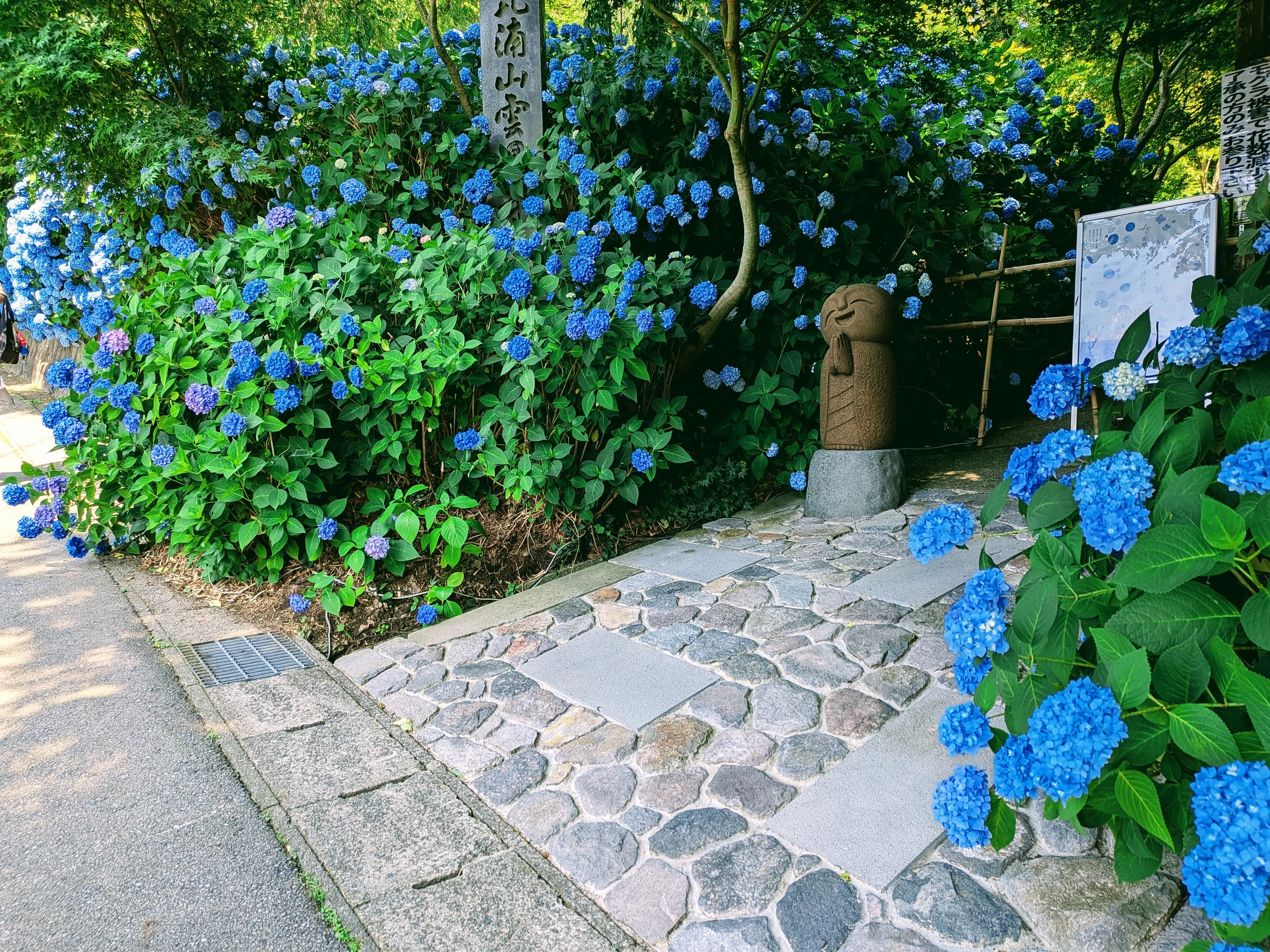 どこまでも続く「青一色」が織りなす芸術美