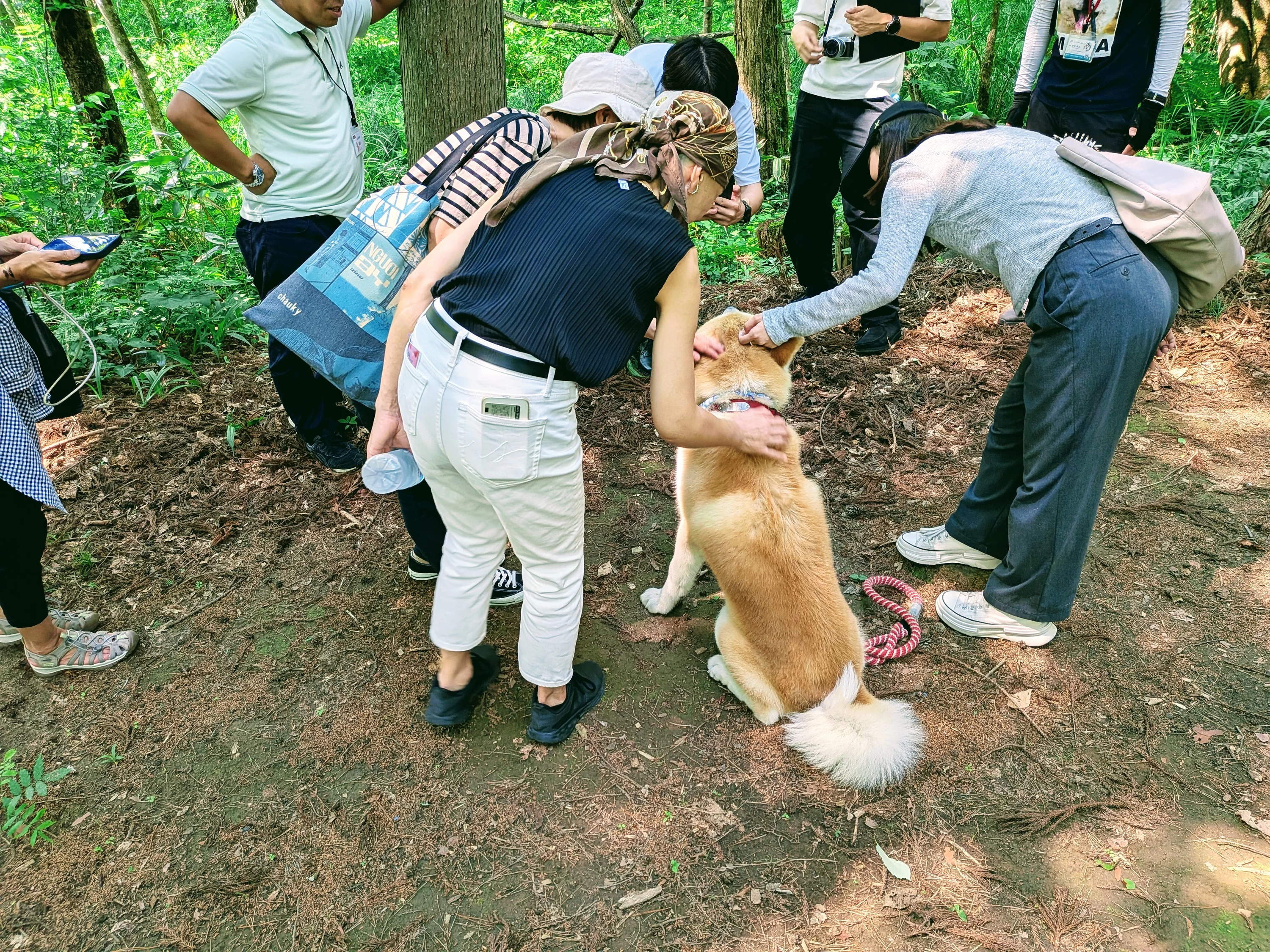 参加者一人一人を気にかけてくれる優しい秋田犬