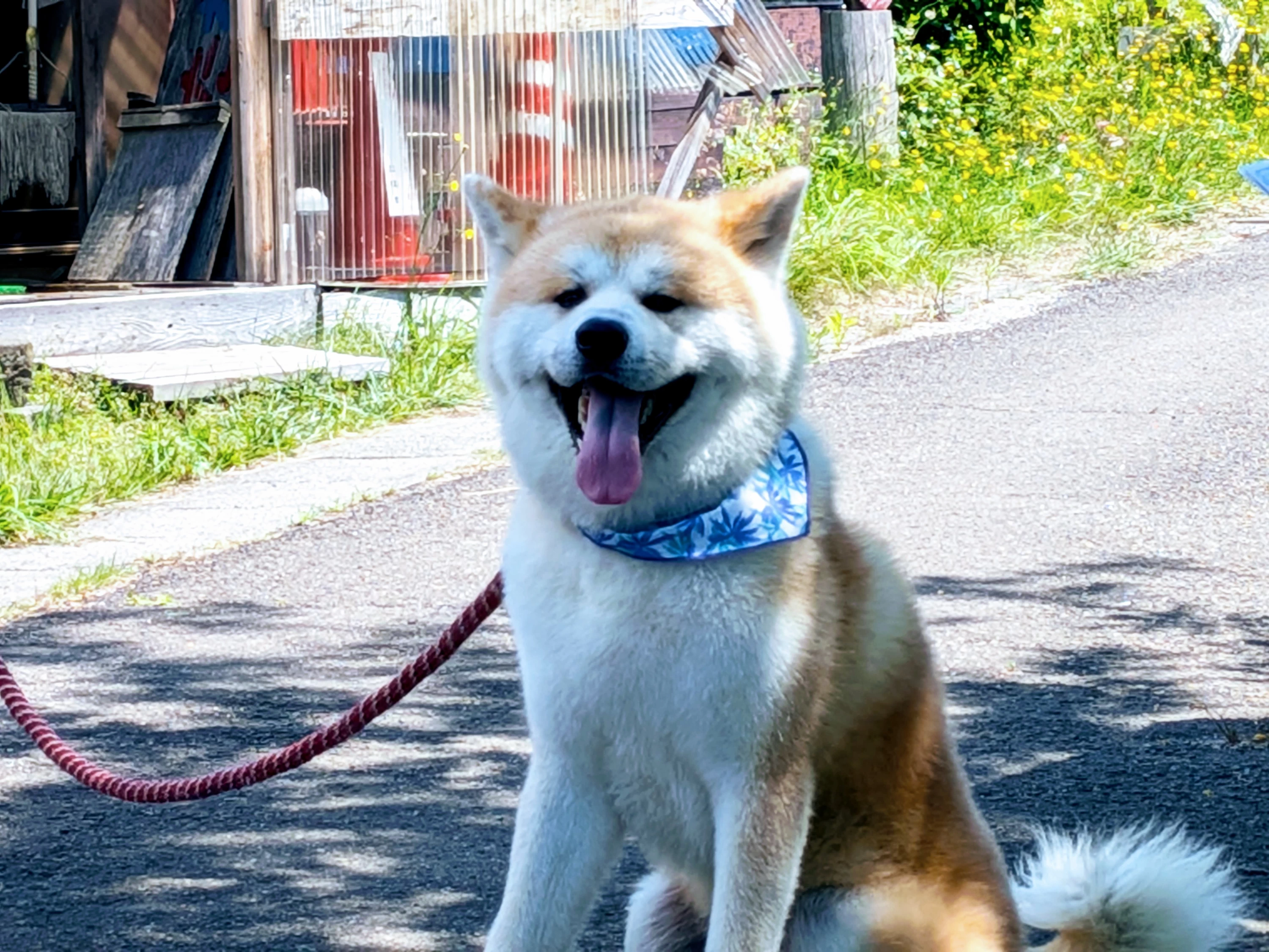 大きな体とつぶらな瞳のギャップに、心奪われる参加者が続出