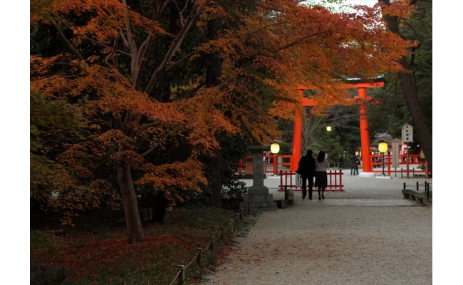 紅葉の境内