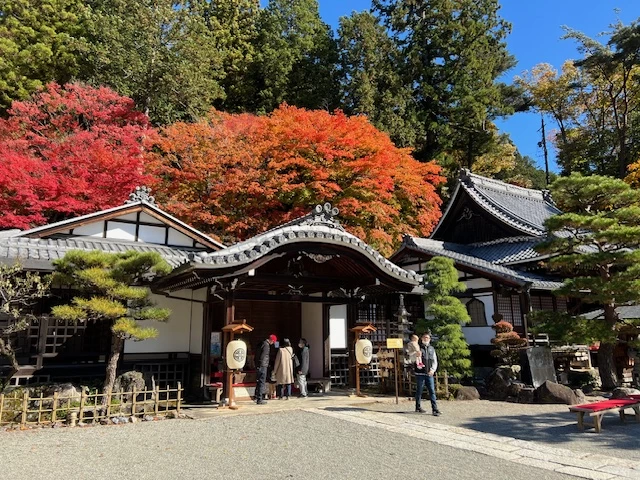 温泉寺の紅葉