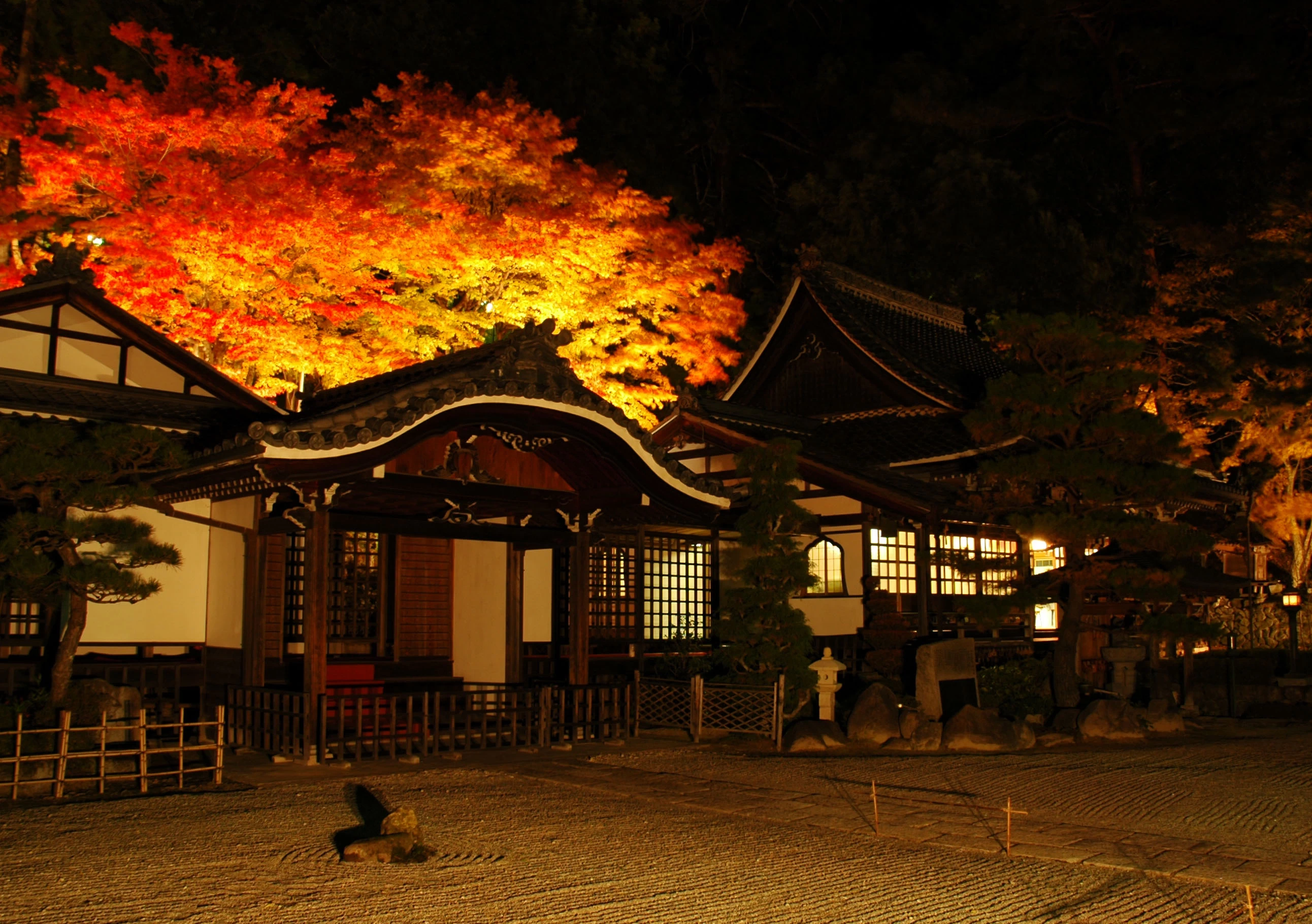 紅葉ライトアップ