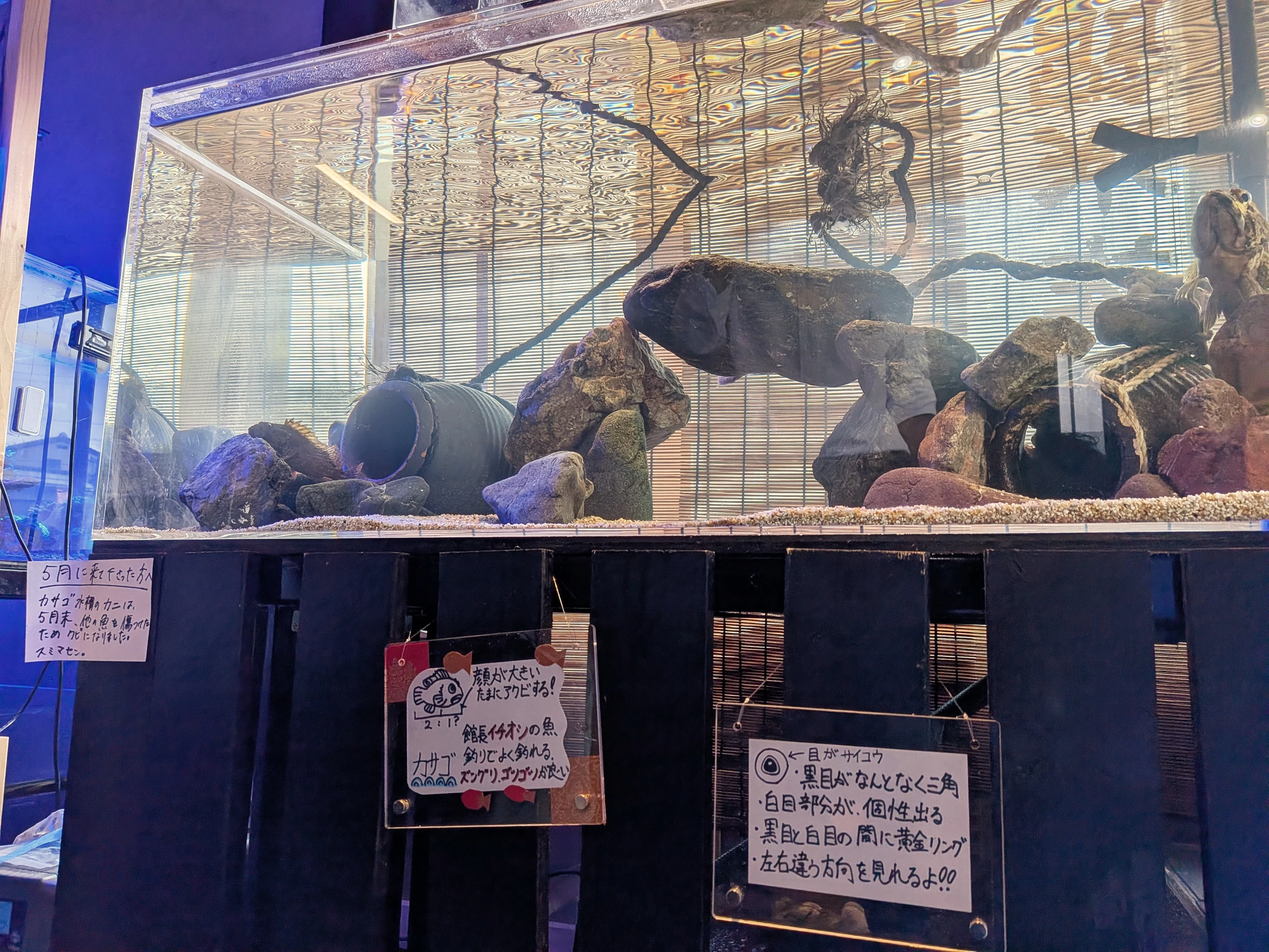 手作りの展示