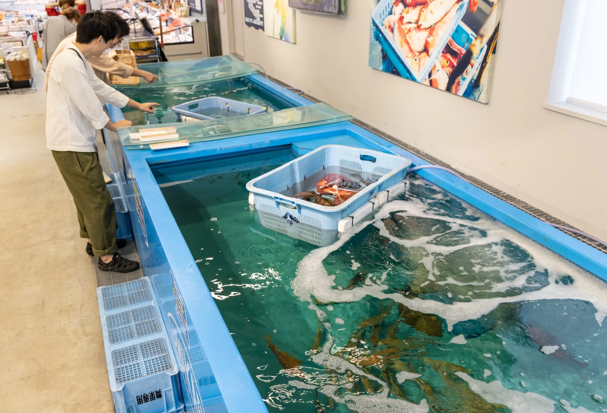 生簀