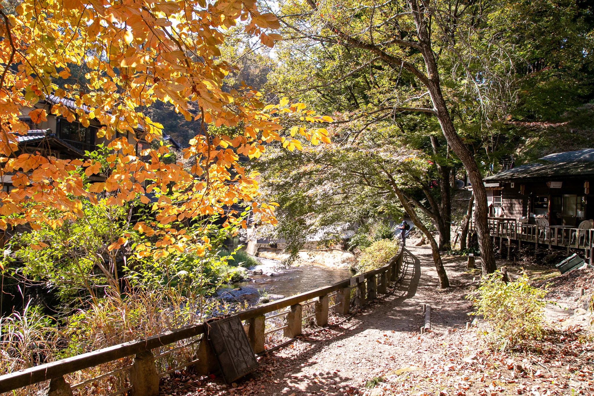 紅葉の温泉街