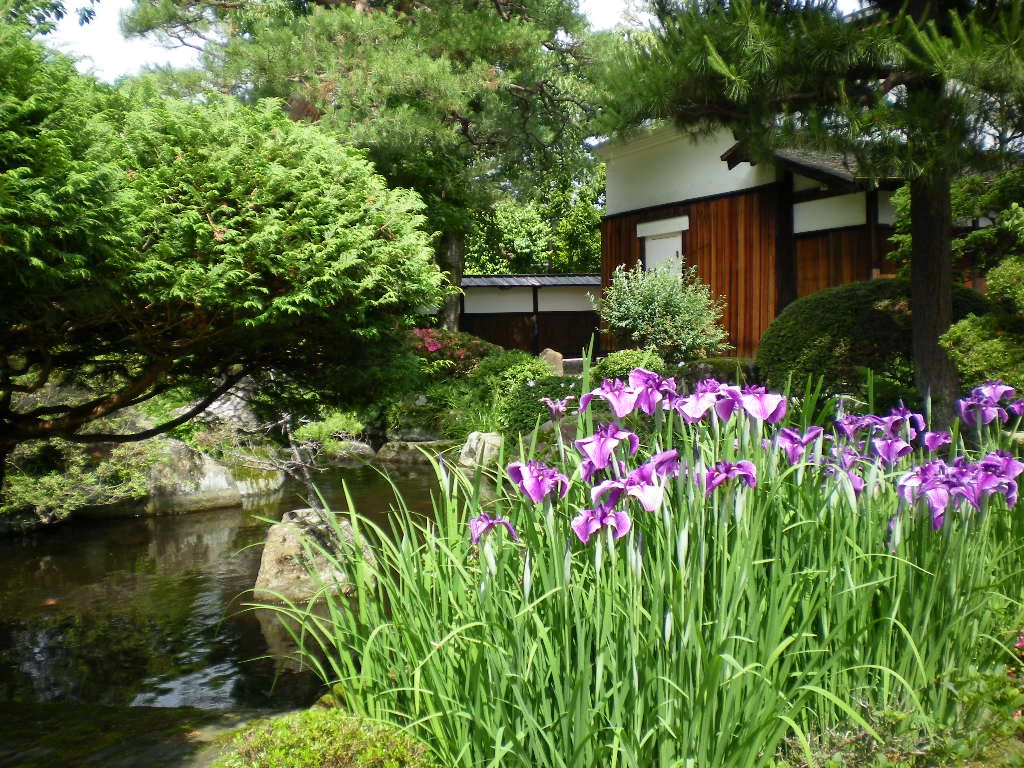 夏の庭
