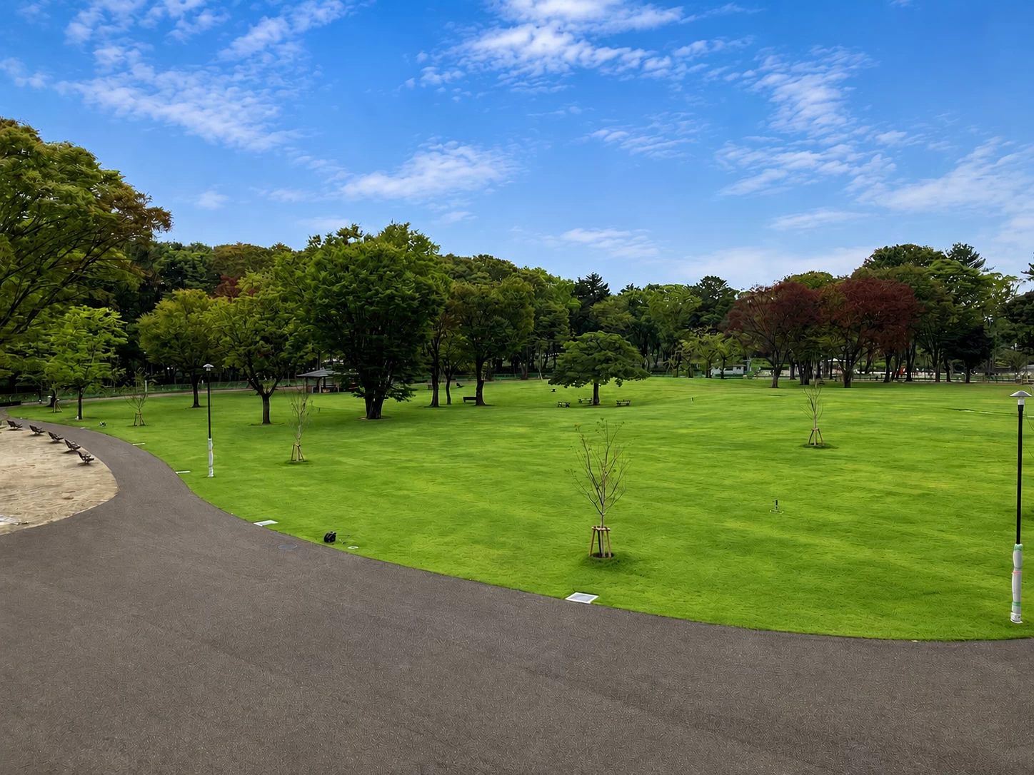 のびのびと過ごせる芝生エリア