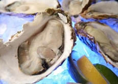 こだわり牡蠣メニューが人気