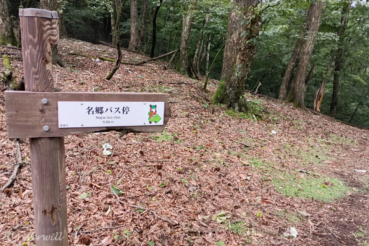 この標識に沿ってひたすら下山
