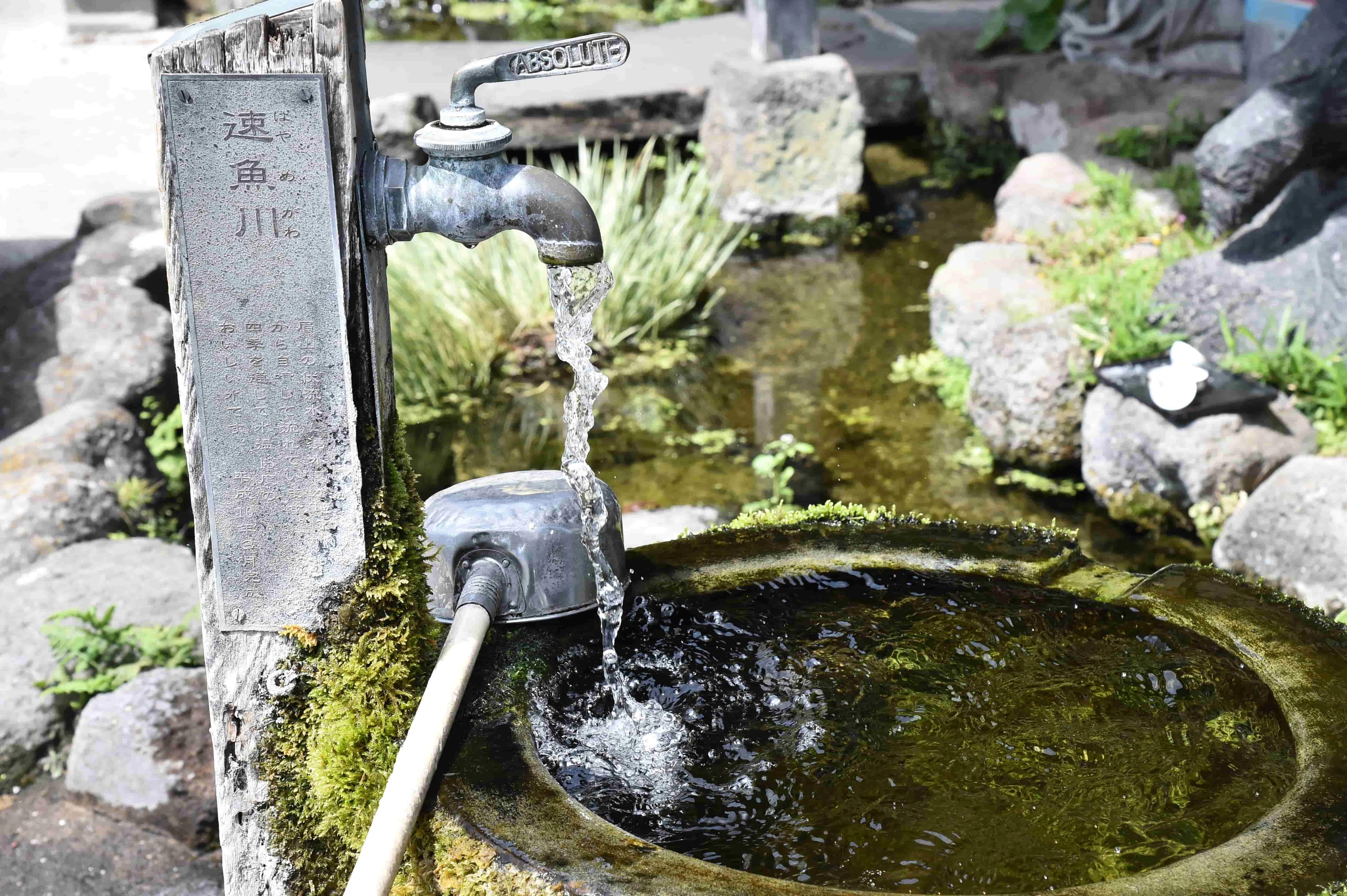 店頭にある湧水スポット「速魚川(はやめがわ)の湧水」