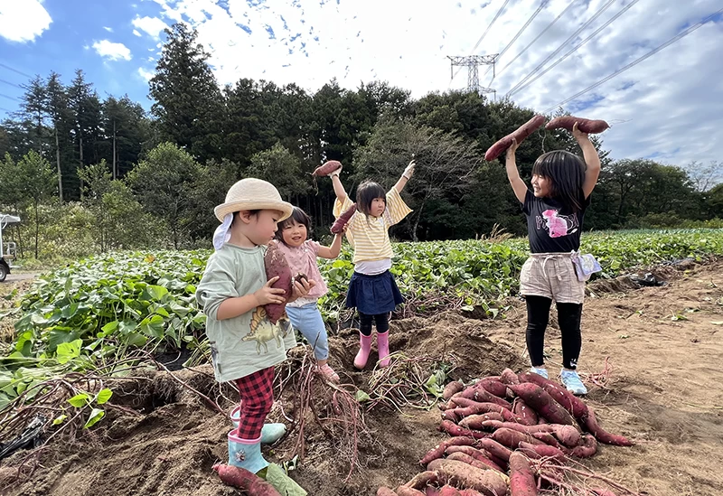 自社農園で楽しむ収穫体験