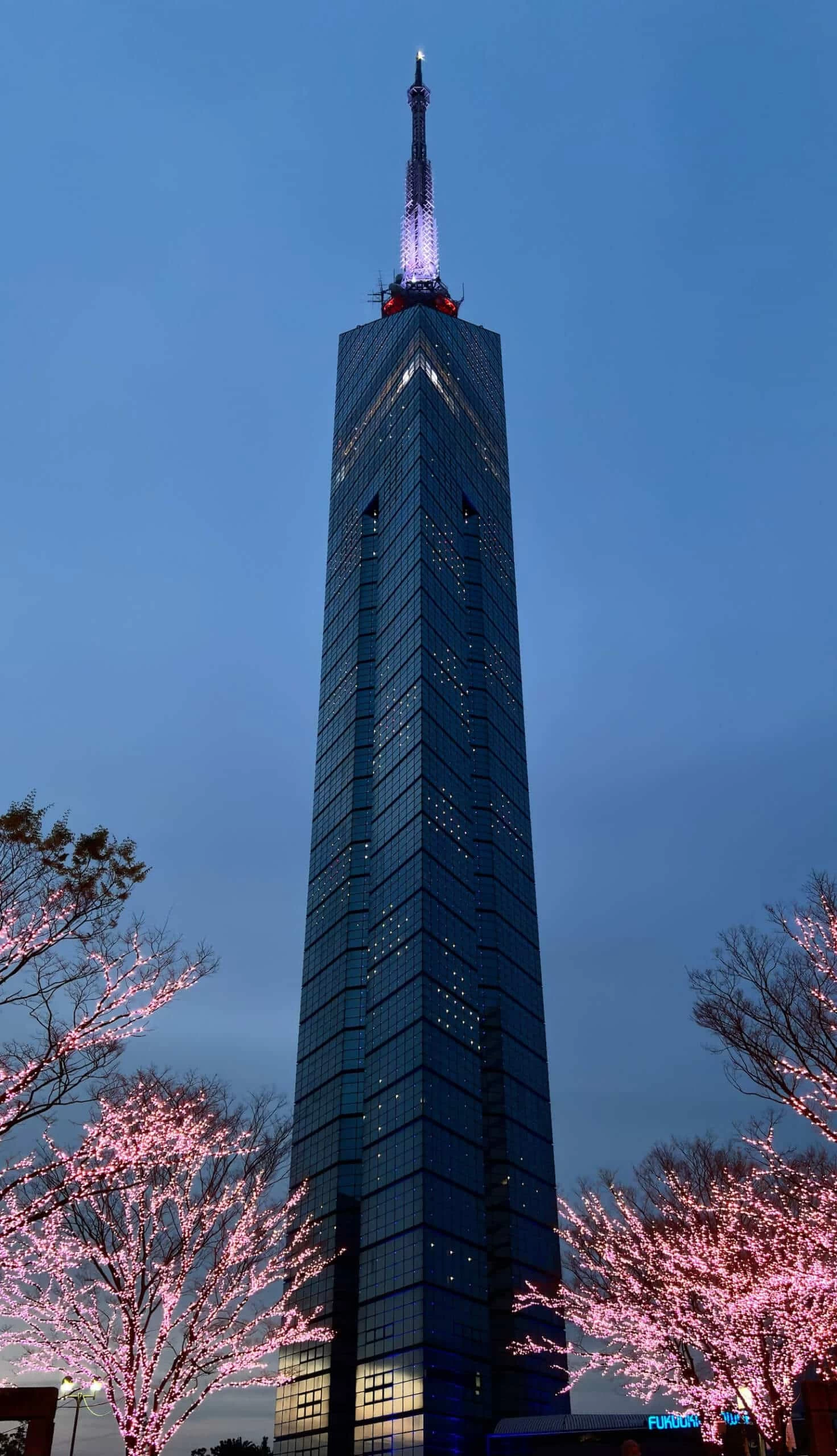 桜の季節
