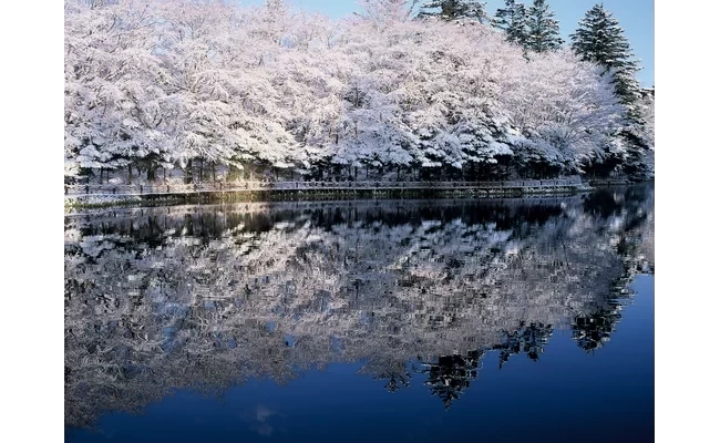 雲場池①