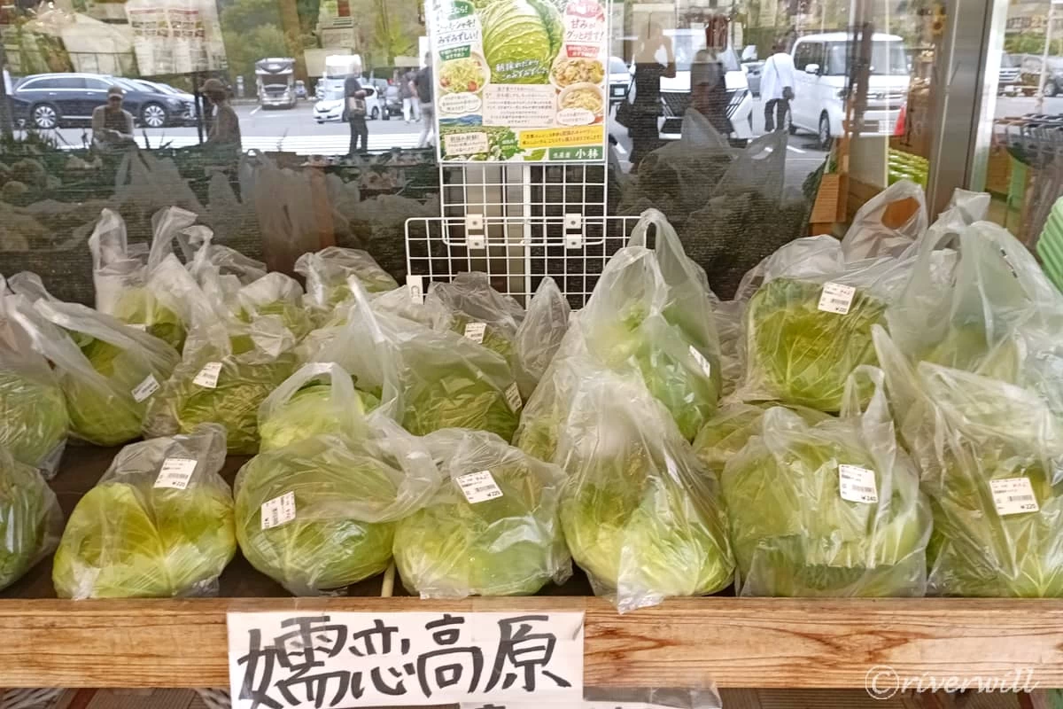採れたて嬬恋高原キャベツ