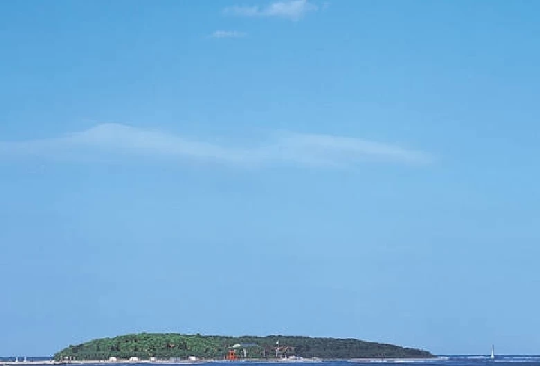 青島全景