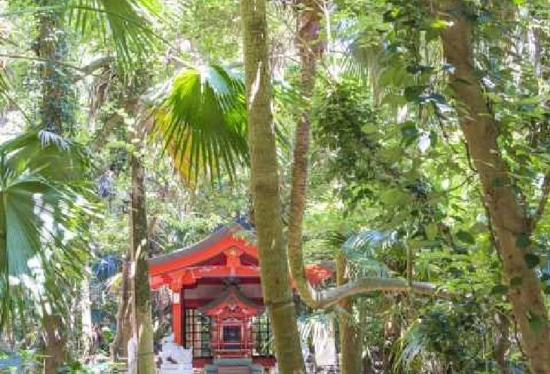 熱帯植物に囲まれた社