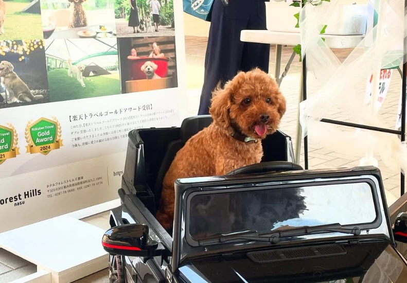 愛犬と楽しめるイベント「Happy!ワンdaysフェスタ」も開催