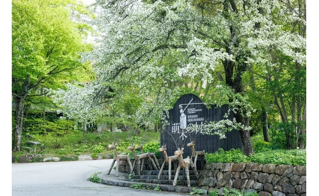萌木の村②