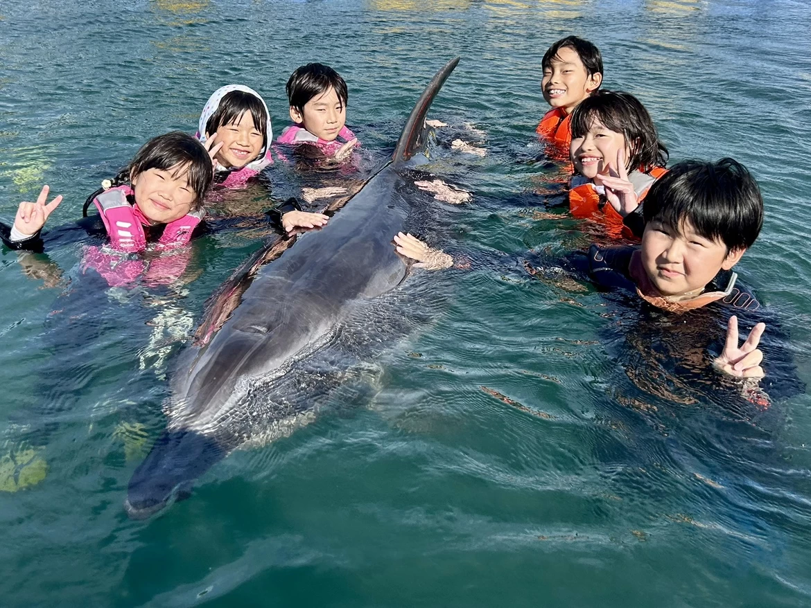 イルカと泳ぐ夢も叶えられる