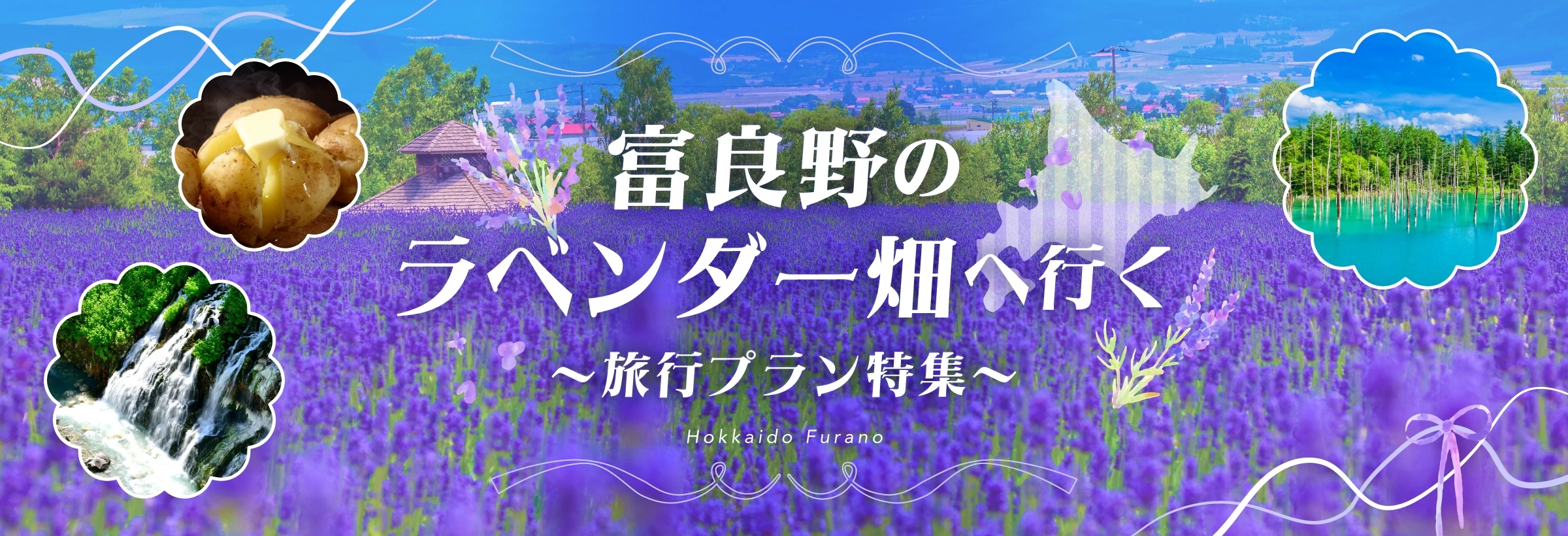 富良野のラベンダー畑を巡る旅