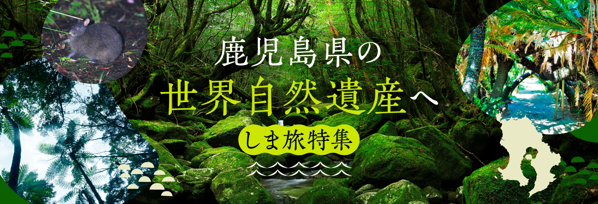 世界遺産の島へ行く 鹿児島しま旅特集
