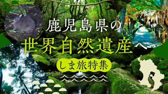 世界遺産の島へ行く 鹿児島しま旅特集