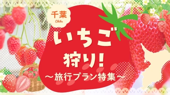 千葉でいちご狩りを楽しむ旅行プラン特集