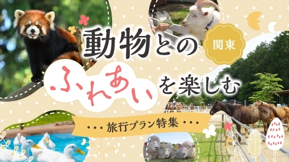 【関東】動物とのふれあいを楽しむプラン特集
