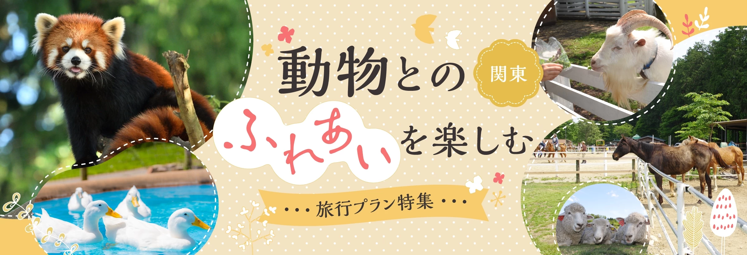 2026年にパンダがいなくなった日本。パンダロスに悲しむ方へおすすめの、関東で動物とのふれあいを楽しめるプランをご紹介します。那須高原や榛名山、房総半島に点在する観光牧場をはじめ、多彩な動物が揃う動物園、自然公園の一角にあるふれあい動物園まで、お好みでお出かけください。
