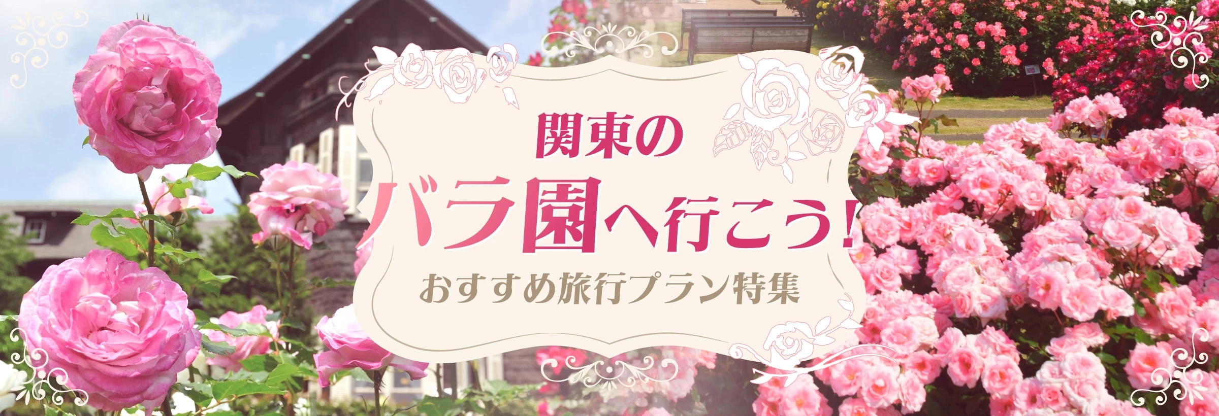 関東でバラの名所に立ち寄るプランをご紹介。関東には、京成バラ園、山手イタリア山庭園や山下公園、旧古河庭園など、気軽に立ち寄れるローズガーデンがいっぱい。5月中旬〜6月上旬の「春バラ」と、10月中旬〜11月上旬の「秋バラ」の2シーズンに合わせて、お出かけしてみてはいかが？