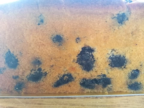 【ギフト】大粒丹波黒豆のパウンドケーキと飾りパンマグネットモニター画像2